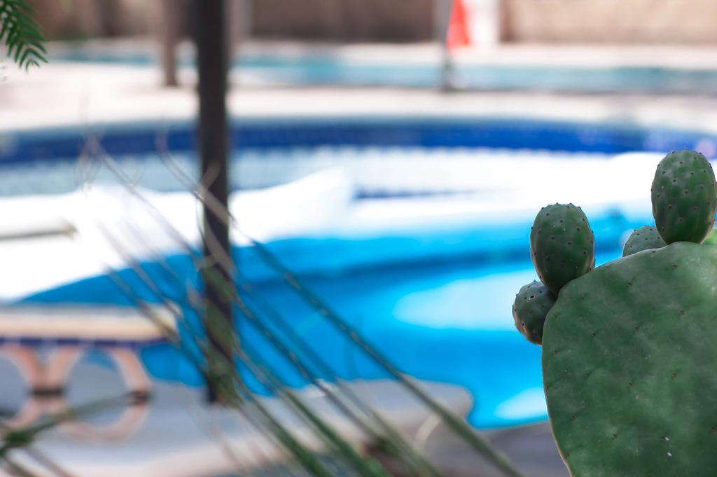 Rancho Labradores Atotonilco  Kültér fotó